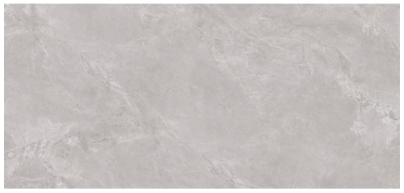 ���� �׷���C Gallen Gray ��ǥ�̹���