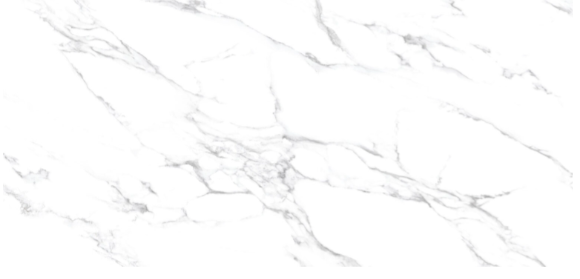 ����ڶ� ��Ÿ���Ƹ��� Antonella Statuario ��ǥ�̹���