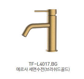 TF-L4017.BG ��Ȧ���� �귯����� ��ǥ�̹���