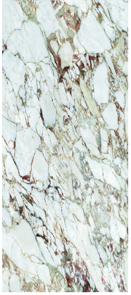 VG CP03 SLK ��ǥ�̹���