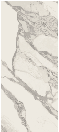 VG JW12 LUC ��ǥ�̹���