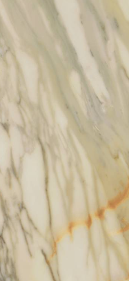 VG REGAL L.SILK ��ǥ�̹���