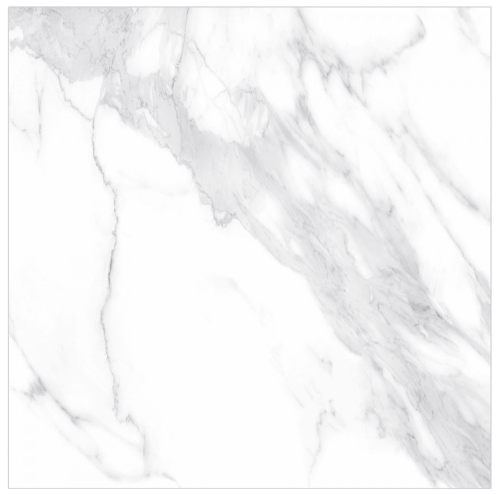 HS ����� ī��� ��ǥ�̹���