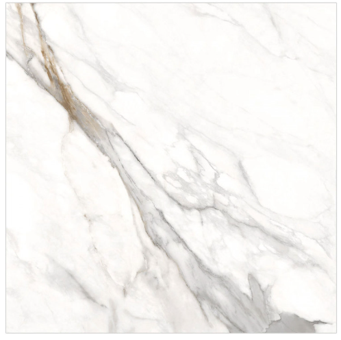 HS ����� ��� ��ǥ�̹���