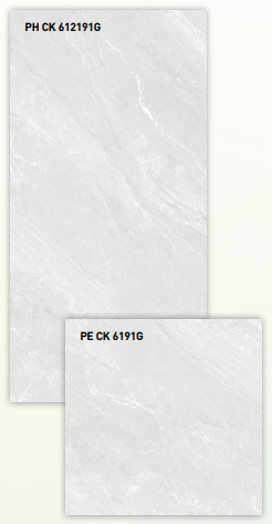 BT 612191G + BT 6191G ��ǥ�̹���