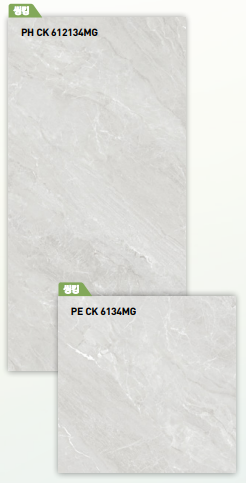 BT 612134MG + BT 6134MG ��ǥ�̹���