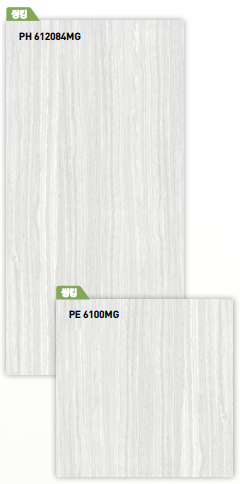 BT 612084MG + BT 6100MG ��ǥ�̹���