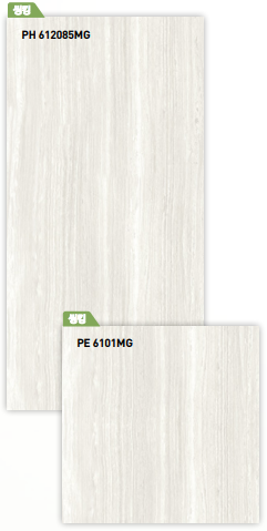 BT 612085MG + BT 6101MG ��ǥ�̹���