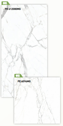 BT 612080MG + BT 6096MG ��ǥ�̹���