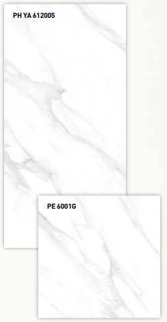 BT 612005G + BT 6001G ��ǥ�̹���