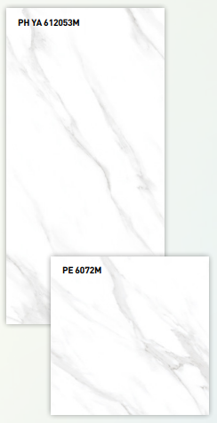 BT 612053M + BT 6072M ��ǥ�̹���