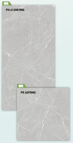 BT 612087MG + BT 6095MG ��ǥ�̹���