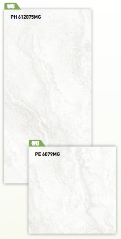 BT 612075MG + BT 6079MG ��ǥ�̹���