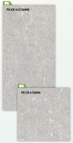 BT 612136MG + BT6136MG ��ǥ�̹���