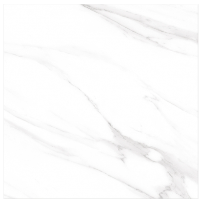 SG 8121L ��ǥ�̹���