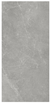 SG ���� �׷���_������ ��ǥ�̹���