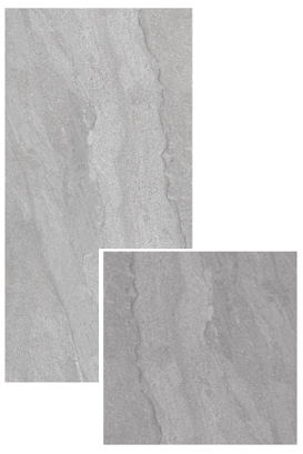 SG 12132 + SG 66361 ��ǥ�̹���