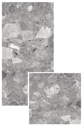 VG CIENA03 ��ǥ�̹���