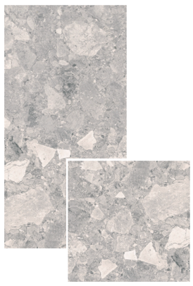 VG CIENA02 ��ǥ�̹���