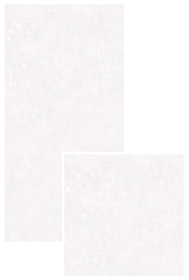 VG HOLY WHITE ��ǥ�̹���