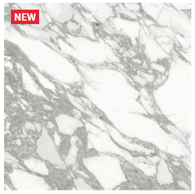 HS ������ ��ǥ�̹���