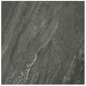 HS 66503 ��ǥ�̹���