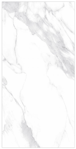 HS ����� ī��� 600*1200 ��ǥ�̹���