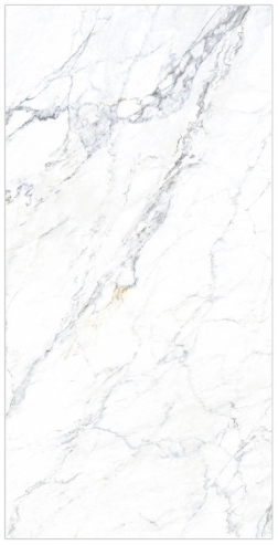 HS ����� ����콺�� 600*1200 ��ǥ�̹���