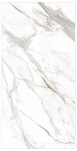 HS ����� ��� 600*1200 ��ǥ�̹���