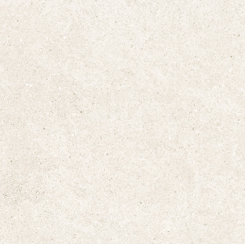 BBT-66J01 ��ǥ�̹���