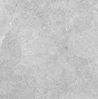 BBT-PD6113 ��ǥ�̹���