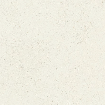 BBT-REG31 ��ǥ�̹���