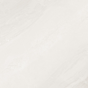 BBT-DN 6001M (DOMINANT WH) ��ǥ�̹���