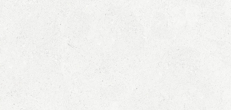 BBT-REG 13  ��ǥ�̹���