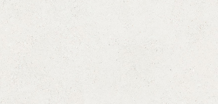 BBT-REG 12  ��ǥ�̹���