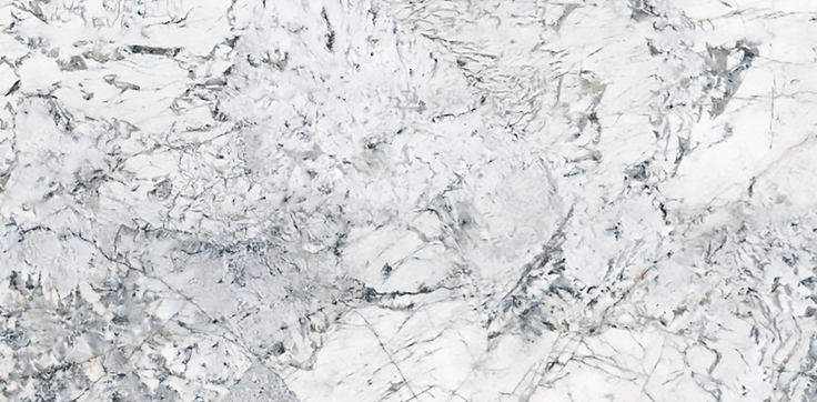 BBT-NHV Q01 ��ǥ�̹���