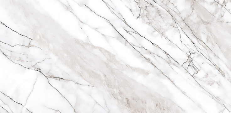 BBT-TSA Q01 ��ǥ�̹���