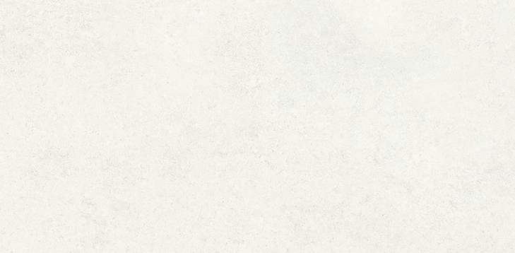 BBT-REG 51 ��ǥ�̹���