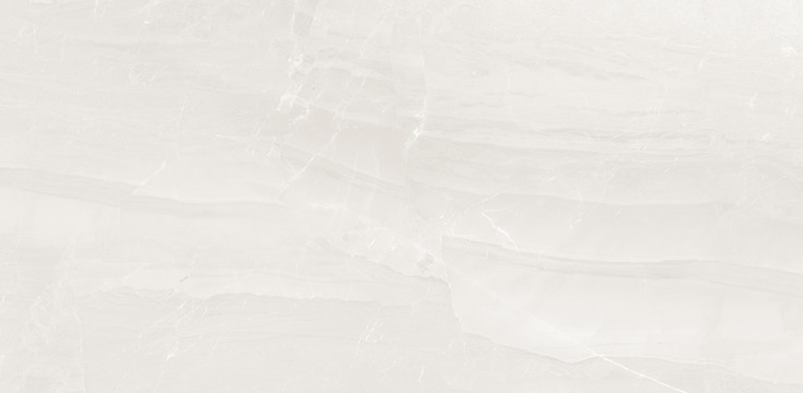 BBT-DN 12601M (DOMINANT WH)  ��ǥ�̹���