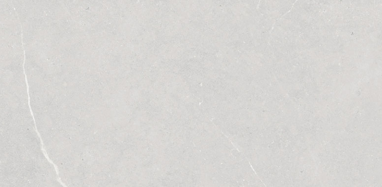 VG PIIC2448 ��ǥ�̹���