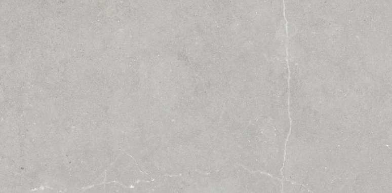 VG PIWI2448 ��ǥ�̹���