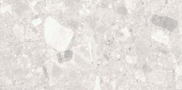 VG CIENA01 600*1200 ��ǥ�̹���