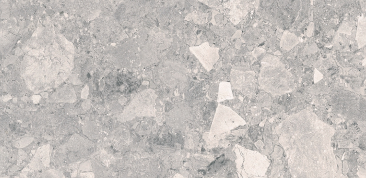 VG CIENA02 600*1200 ��ǥ�̹���