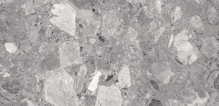 VG CIENA03 600*1200 ��ǥ�̹���