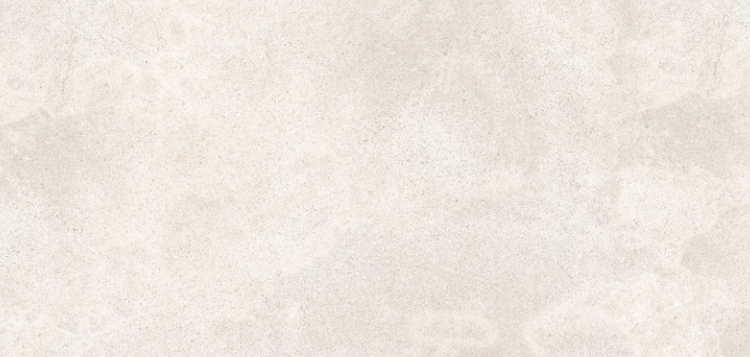 VG NEBULA WHITE ��ǥ�̹���