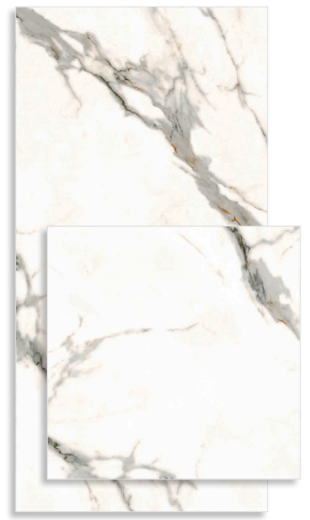 ICM 9508 + ICM 1208 (�ķ����) ��ǥ�̹���