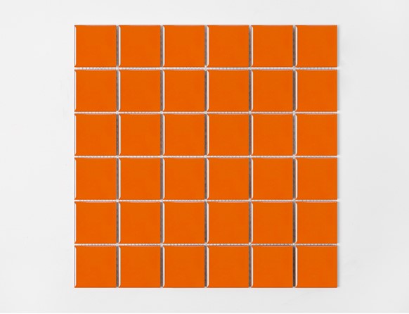 SI 481D ORANGE-G ��ǥ�̹���