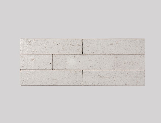 CGT-100M ��ǥ�̹���