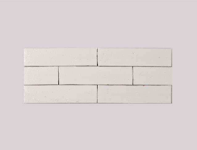 CGT-100 ��ǥ�̹���