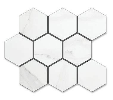 HO-04 (HORNET CARARA 110*95) ��ǥ�̹���